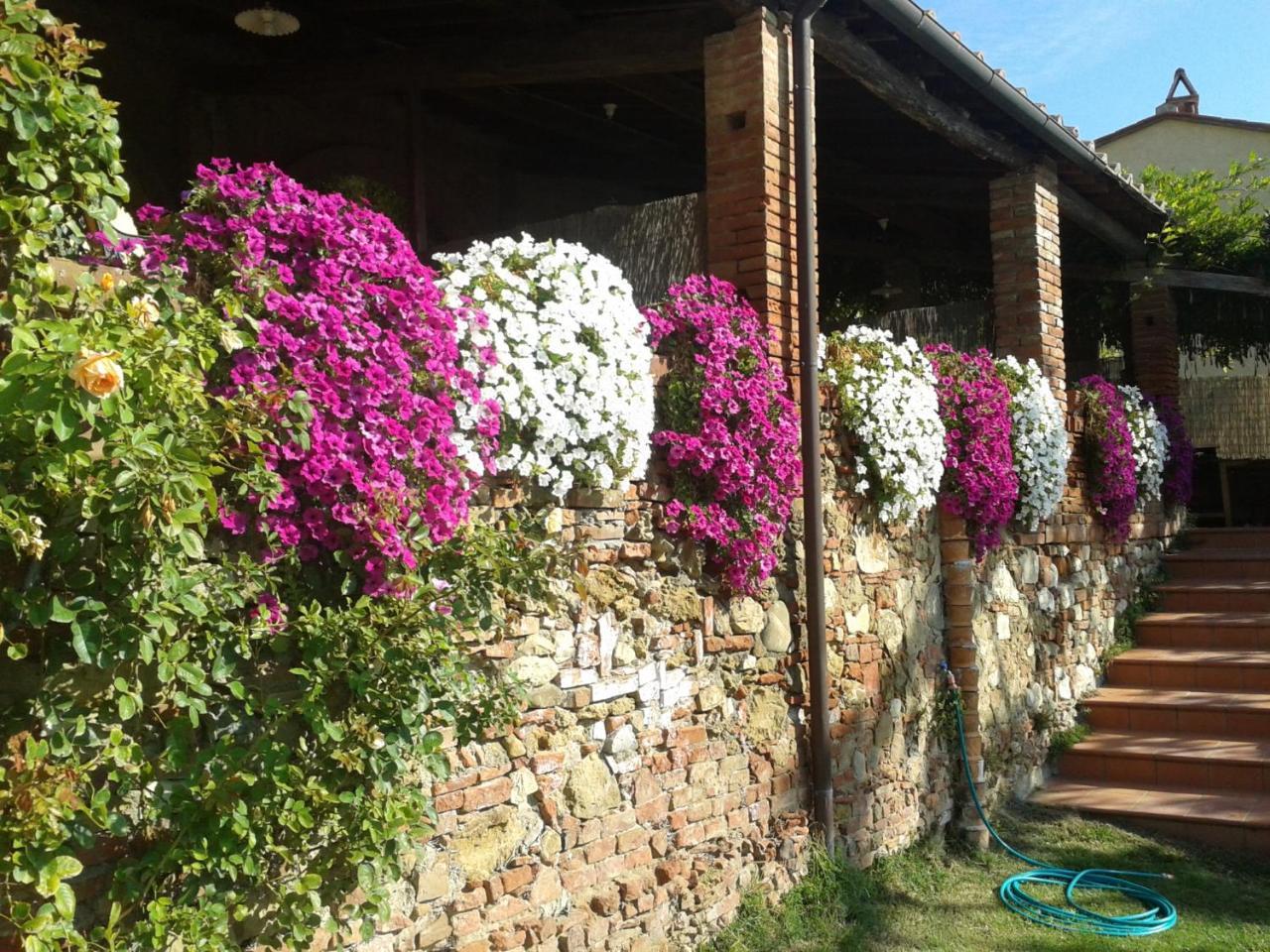 Borgo Fajani Guest House Terricciola Exterior photo